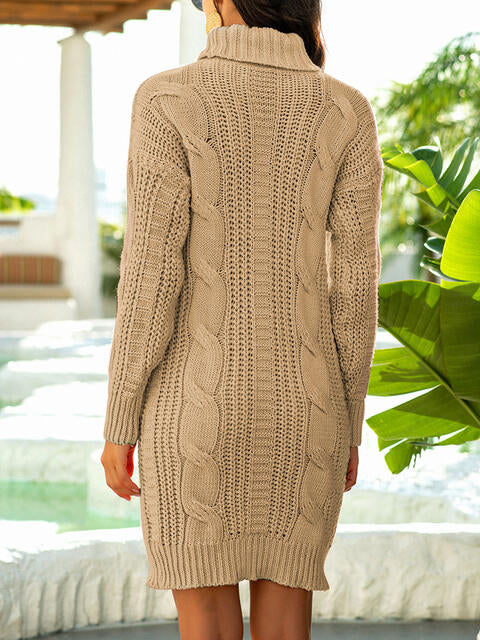 Nancy Turtleneck Ribbed Sweater Dress