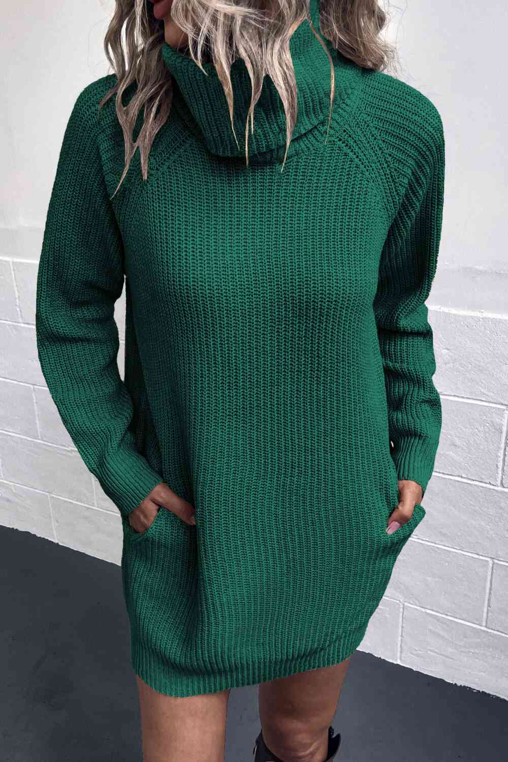 Ryann Turtleneck Sweater Dress with Pockets