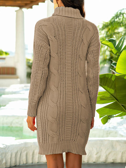 Nancy Turtleneck Ribbed Sweater Dress