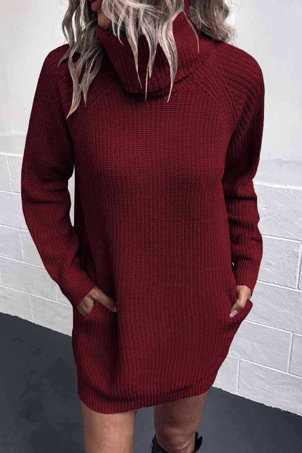 Ryann Turtleneck Sweater Dress with Pockets