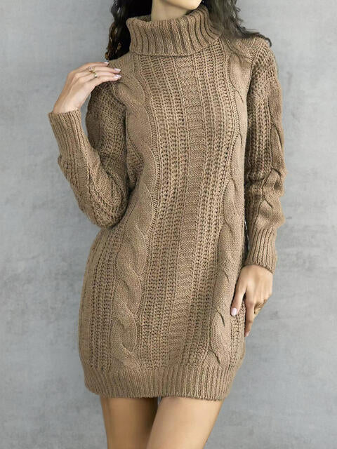 Nancy Turtleneck Ribbed Sweater Dress